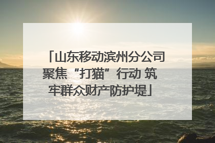 山东移动滨州分公司聚焦“打猫”行动 筑牢群众财产防护堤