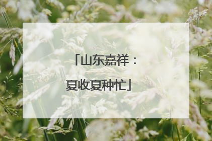 山东嘉祥：夏收夏种忙
