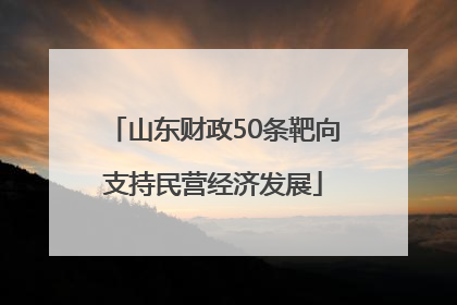 山东财政50条靶向支持民营经济发展