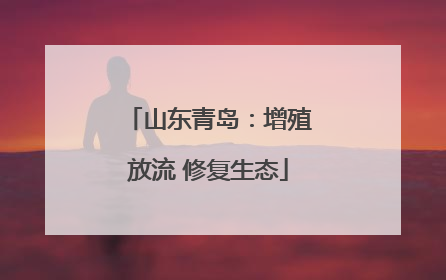 山东青岛：增殖放流 修复生态