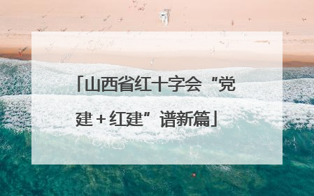 山西省红十字会“党建＋红建”谱新篇