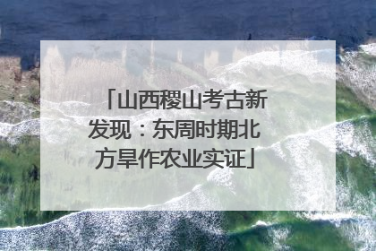 山西稷山考古新发现：东周时期北方旱作农业实证