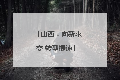 山西：向新求变 转型提速