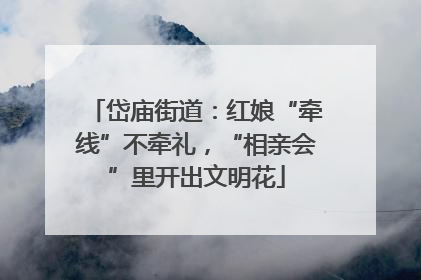 岱庙街道：红娘“牵线”不牵礼，“相亲会”里开出文明花