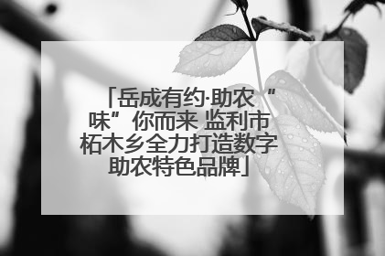 岳成有约·助农“味”你而来 监利市柘木乡全力打造数字助农特色品牌