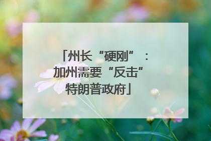 州长“硬刚”：加州需要“反击”特朗普政府