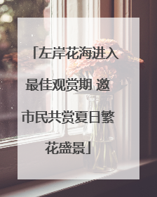 左岸花海进入最佳观赏期 邀市民共赏夏日繁花盛景