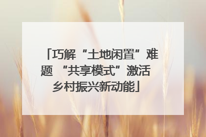 巧解“土地闲置”难题 “共享模式”激活乡村振兴新动能