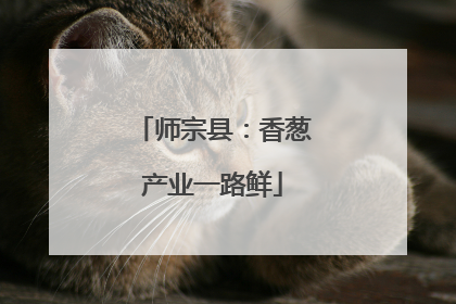 师宗县：香葱产业一路鲜