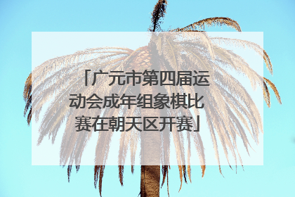 广元市第四届运动会成年组象棋比赛在朝天区开赛