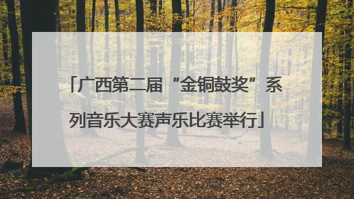广西第二届“金铜鼓奖”系列音乐大赛声乐比赛举行