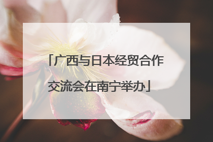 广西与日本经贸合作交流会在南宁举办