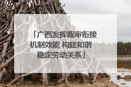广西发挥裁审衔接机制效能 构建和谐稳定劳动关系