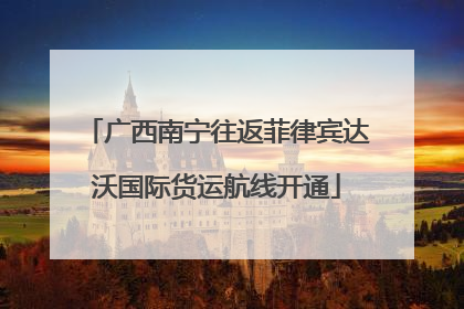 广西南宁往返菲律宾达沃国际货运航线开通