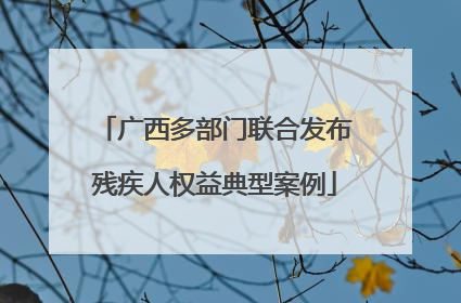 广西多部门联合发布残疾人权益典型案例