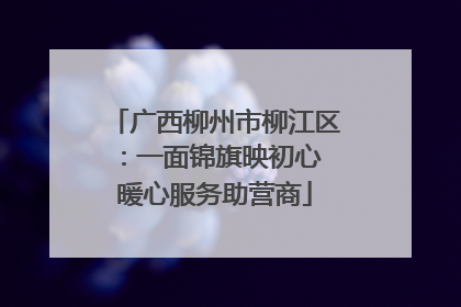 广西柳州市柳江区：一面锦旗映初心 暖心服务助营商