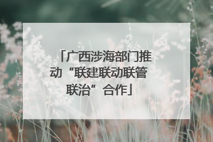 广西涉海部门推动“联建联动联管联治”合作