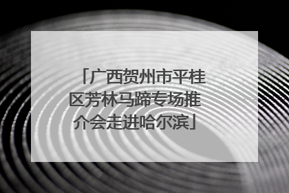 广西贺州市平桂区芳林马蹄专场推介会走进哈尔滨