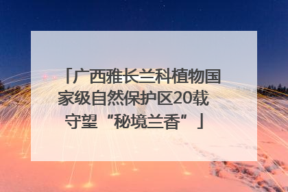 广西雅长兰科植物国家级自然保护区20载守望“秘境兰香”