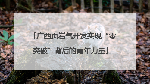 广西页岩气开发实现“零突破”背后的青年力量