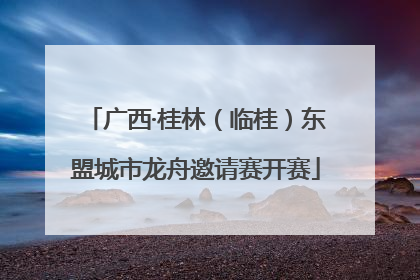 广西·桂林（临桂）东盟城市龙舟邀请赛开赛