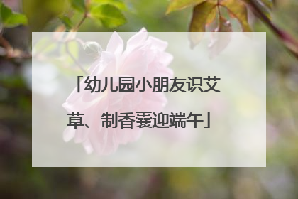 幼儿园小朋友识艾草、制香囊迎端午