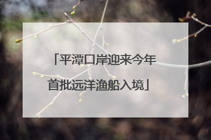 平潭口岸迎来今年首批远洋渔船入境