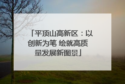 平顶山高新区：以创新为笔 绘就高质量发展新图景