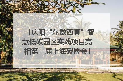 庆阳“东数西算”智慧低碳园区实践项目亮相第三届上海碳博会