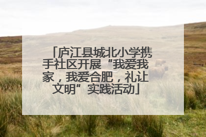 庐江县城北小学携手社区开展“我爱我家，我爱合肥，礼让文明”实践活动