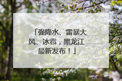 强降水、雷暴大风、冰雹，黑龙江最新发布！