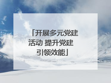 开展多元党建活动 提升党建 引领效能
