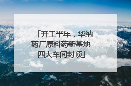 开工半年，华纳药厂原料药新基地四大车间封顶