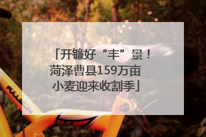 开镰好“丰”景！菏泽曹县159万亩小麦迎来收割季