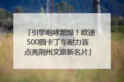 引擎咆哮燃爆！欧速500圈卡丁车耐力赛点亮荆州文旅新名片