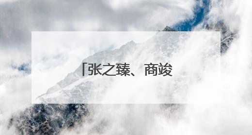 张之臻、商竣程再退温网