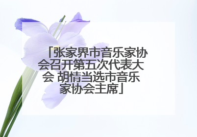 张家界市音乐家协会召开第五次代表大会 胡情当选市音乐家协会主席