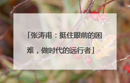 张涛甫：挺住眼前的困难，做时代的远行者