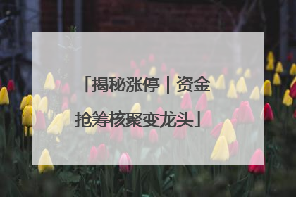 揭秘涨停｜资金抢筹核聚变龙头