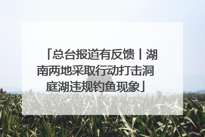 总台报道有反馈丨湖南两地采取行动打击洞庭湖违规钓鱼现象