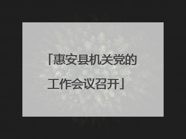 惠安县机关党的工作会议召开