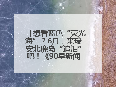 想看蓝色“荧光海”？6月，来瑞安北麂岛“追泪”吧！《90早新闻》来了