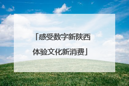 感受数字新陕西 体验文化新消费