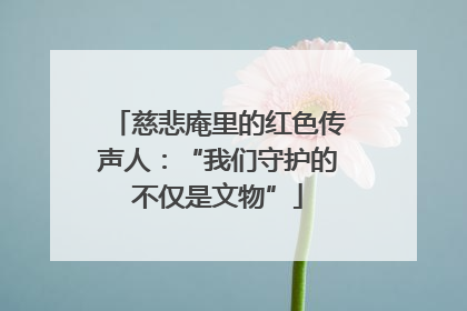 慈悲庵里的红色传声人：“我们守护的不仅是文物”
