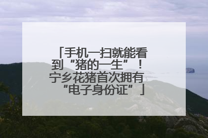 手机一扫就能看到“猪的一生”！宁乡花猪首次拥有“电子身份证”