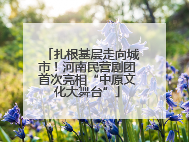 扎根基层走向城市！河南民营剧团首次亮相“中原文化大舞台”