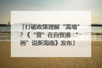 打破政策理解“高墙”？《“营”在自贸港 “画”说新海南》发布