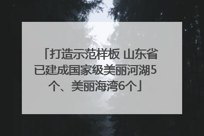 打造示范样板 山东省已建成国家级美丽河湖5个、美丽海湾6个