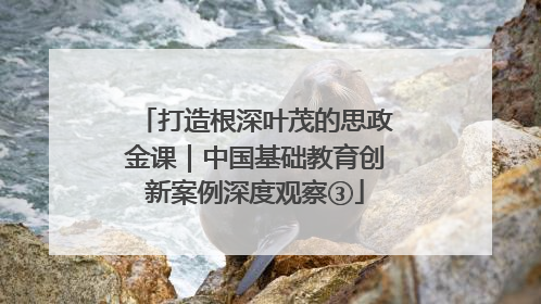 打造根深叶茂的思政金课｜中国基础教育创新案例深度观察③