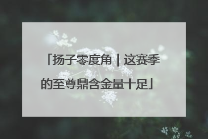 扬子零度角｜这赛季的至尊鼎含金量十足